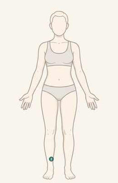 Vitalität – Gitterpflaster Anwendung Übersicht